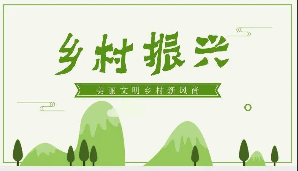 2021年MPA招生簡章：清華大學2021年MPA雙證-鄉村振興方向招生通知